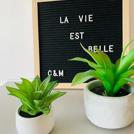Appartement Le Panoramer Cannes